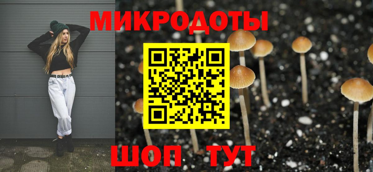 Псилоцибиновые грибы Psilocybine cubensis Пенза