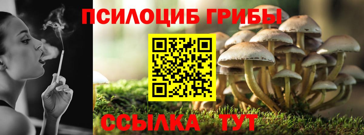 Галлюциногенные грибы мицелий  Вход с VPN  Пенза  Псилоцибиновые грибы Magic Shrooms 